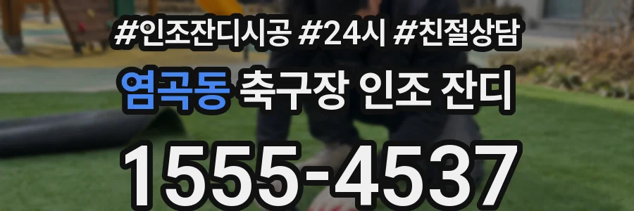염곡동 축구장 인조 잔디