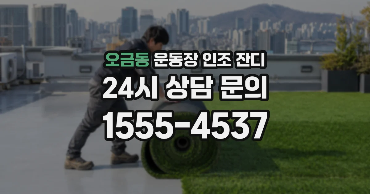 오금동 운동장 인조 잔디