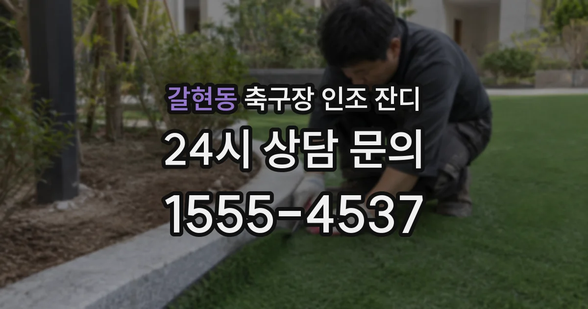 갈현동 축구장 인조 잔디