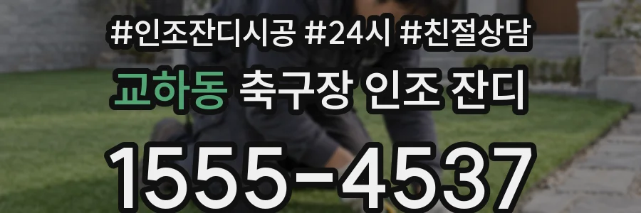 교하동 축구장 인조 잔디