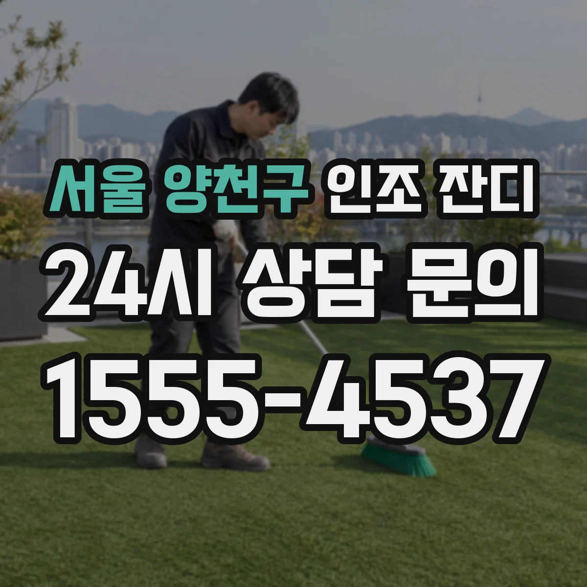 서울 양천구 인조 잔디