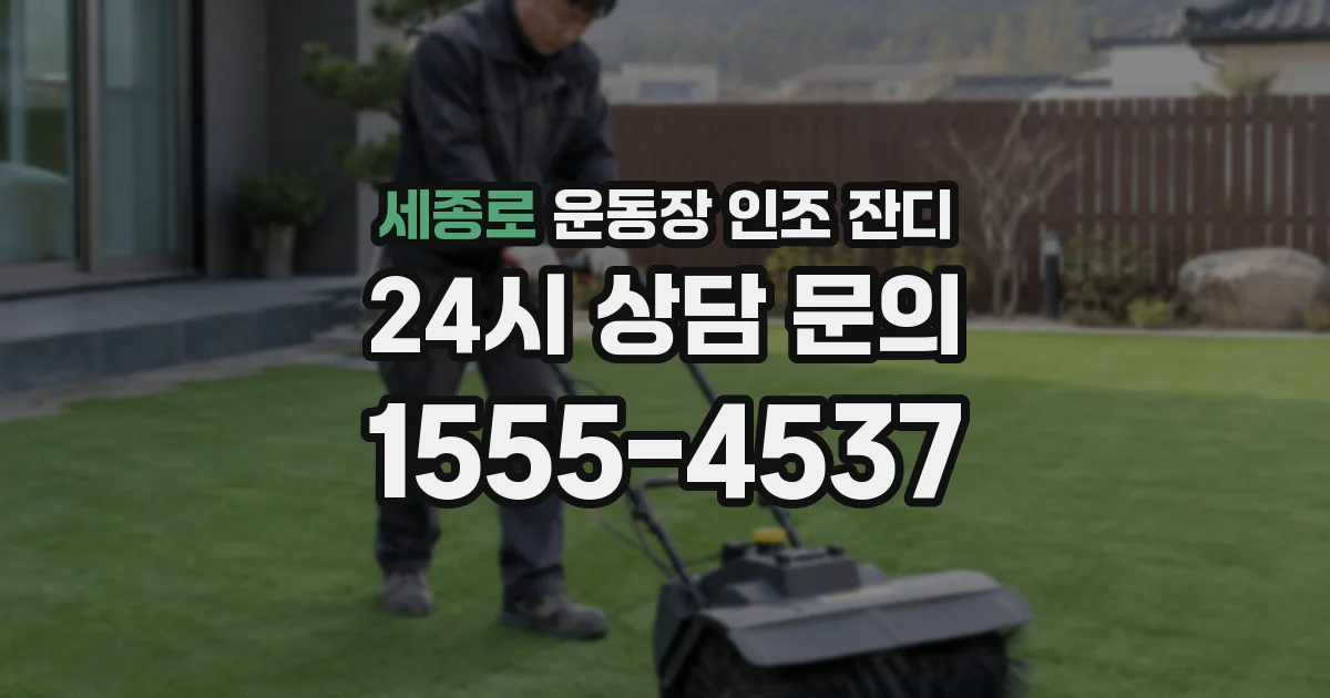 세종로 운동장 인조 잔디