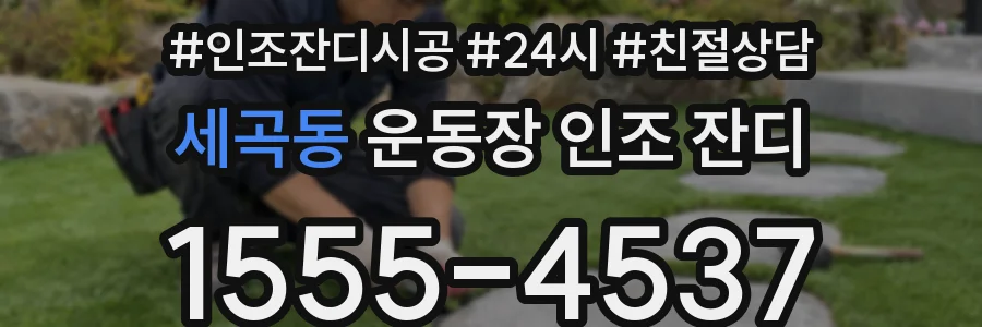 세곡동 운동장 인조 잔디