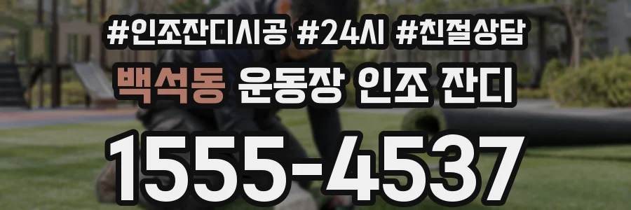 백석동 운동장 인조 잔디