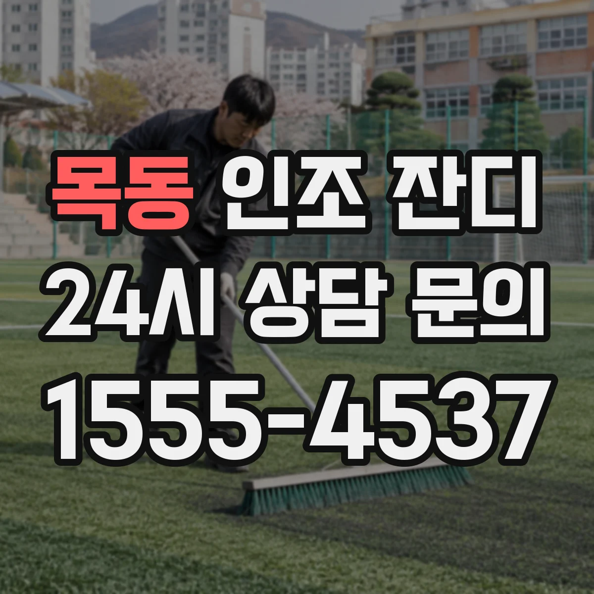 목동 인조 잔디