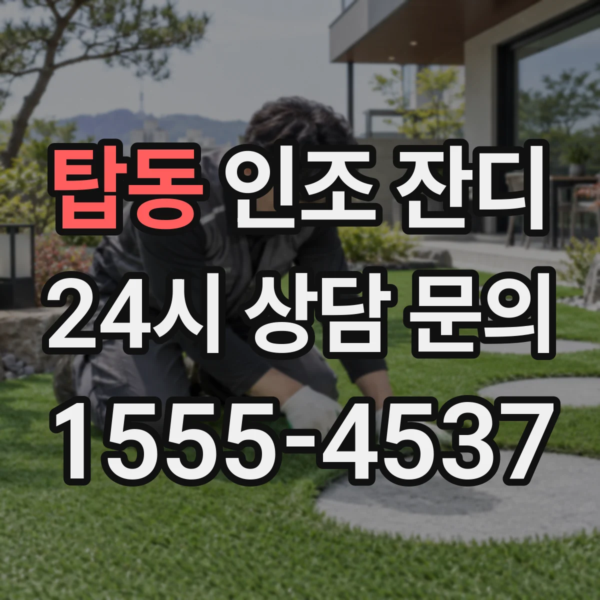 탑동 인조 잔디