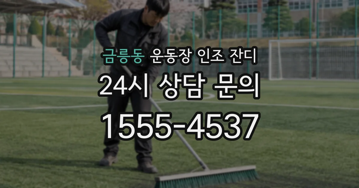 금릉동 운동장 인조 잔디