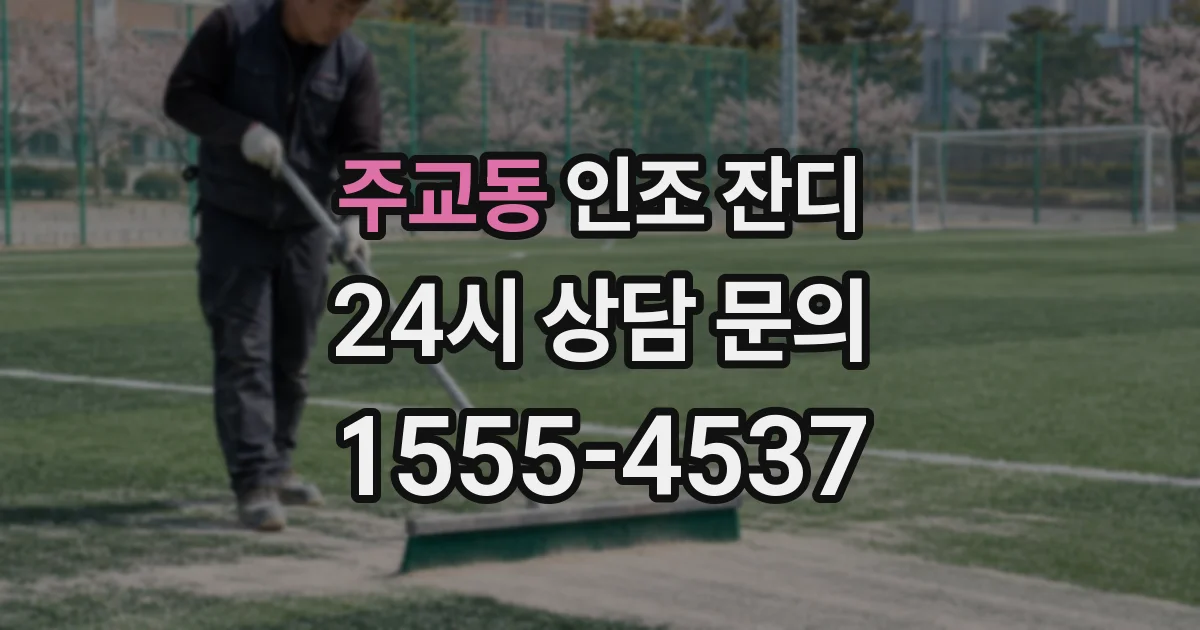주교동 인조 잔디