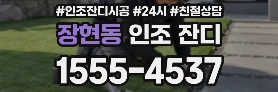 장현동 인조 잔디