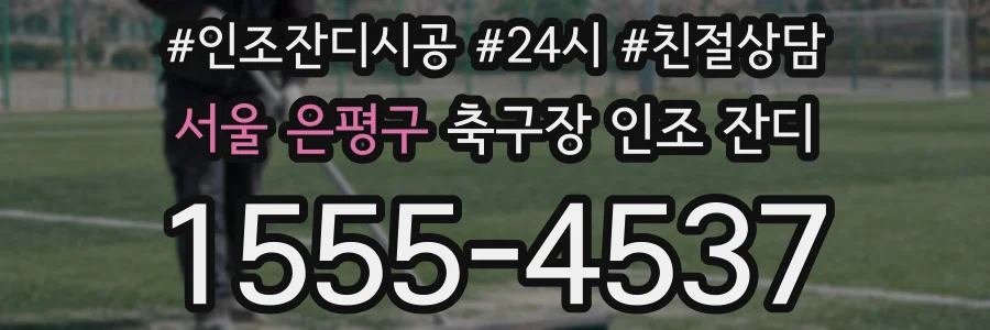서울 은평구 축구장 인조 잔디