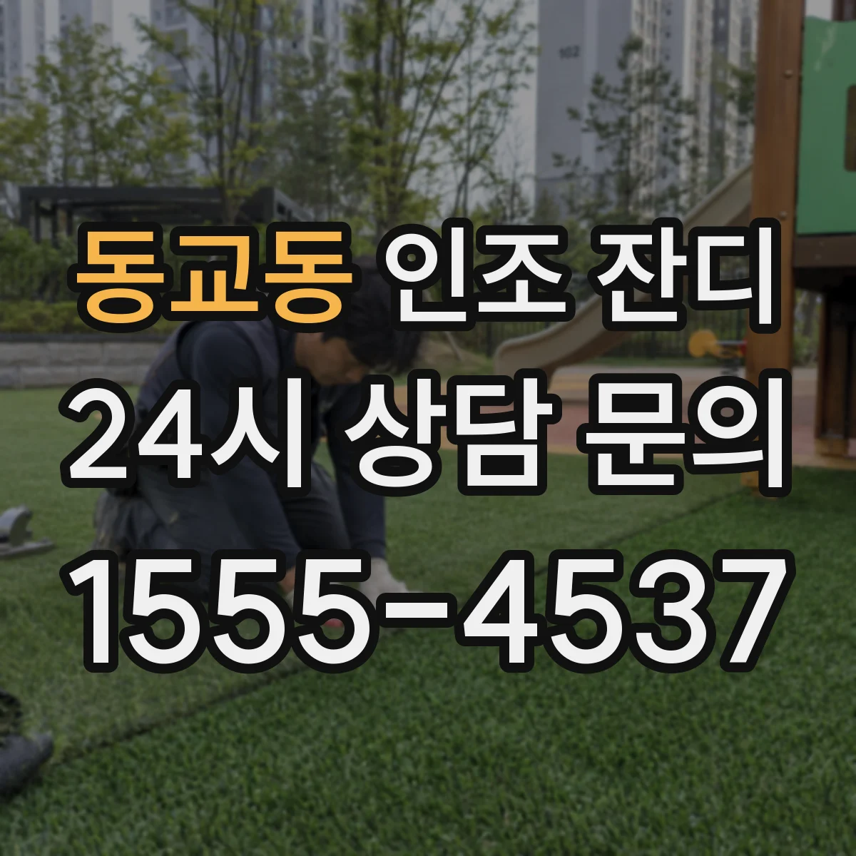 동교동 인조 잔디