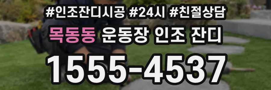 목동동 운동장 인조 잔디