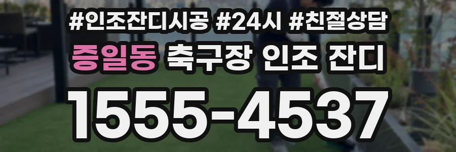 증일동 축구장 인조 잔디