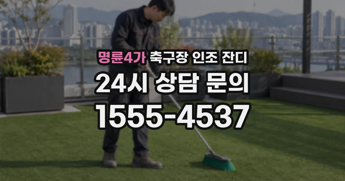 명륜4가 축구장 인조 잔디