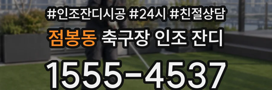 점봉동 축구장 인조 잔디