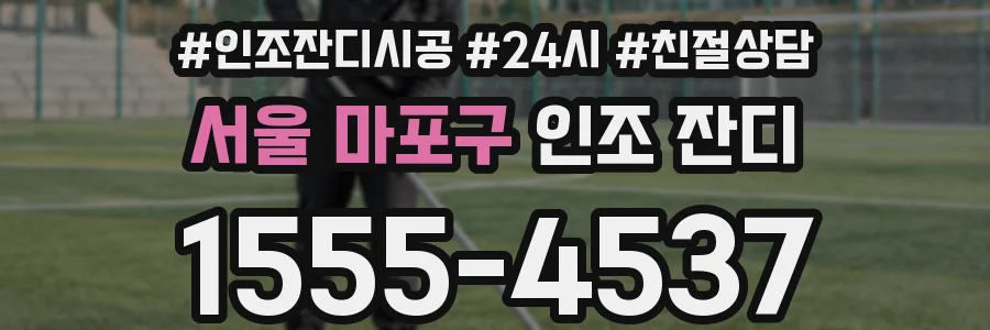 서울 마포구 인조 잔디