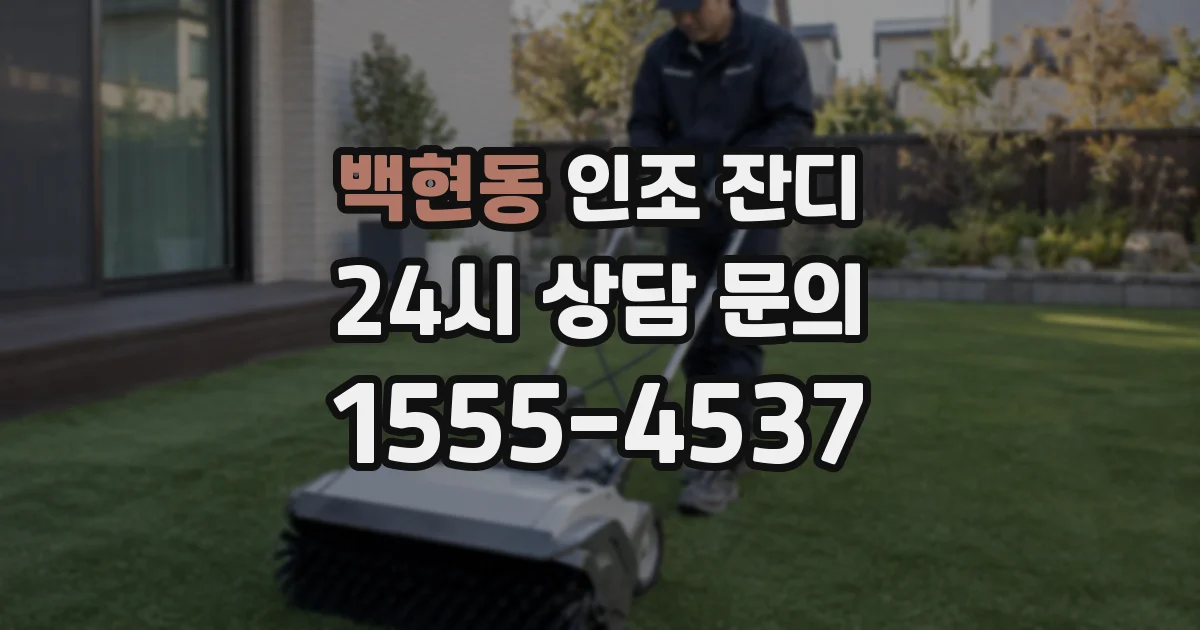 백현동 인조 잔디