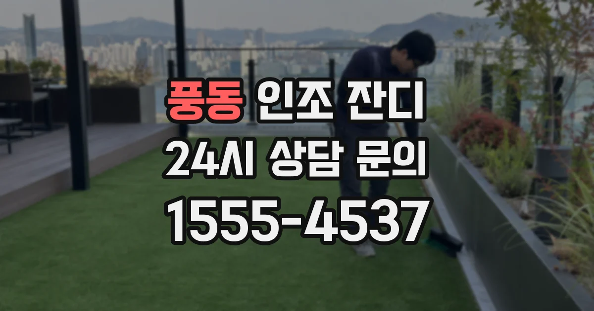 풍동 인조 잔디