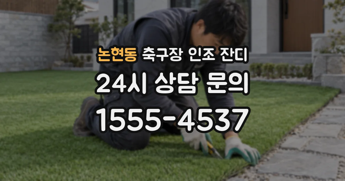논현동 축구장 인조 잔디