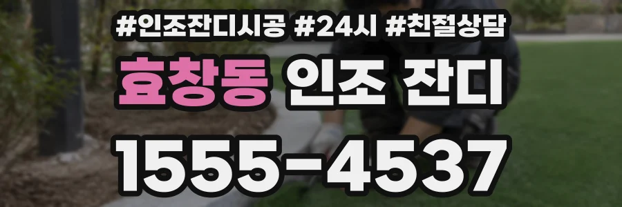 효창동 인조 잔디