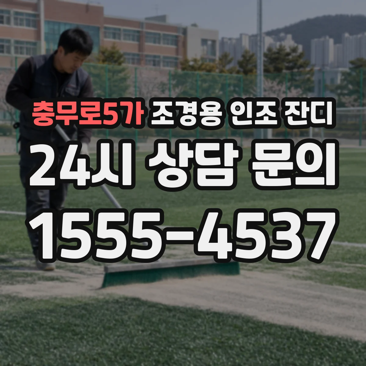 충무로5가 조경용 인조 잔디