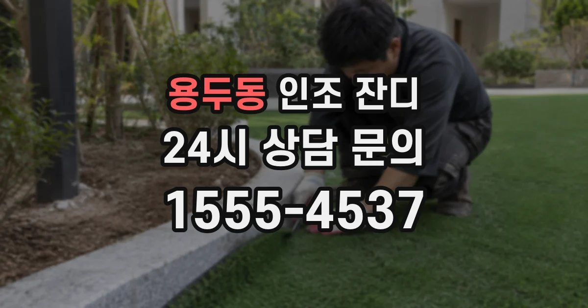 용두동 인조 잔디