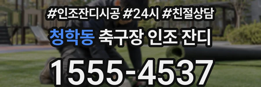 청학동 축구장 인조 잔디