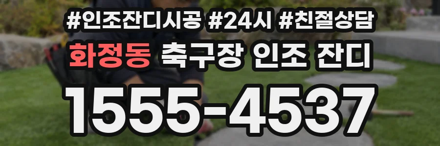 화정동 축구장 인조 잔디