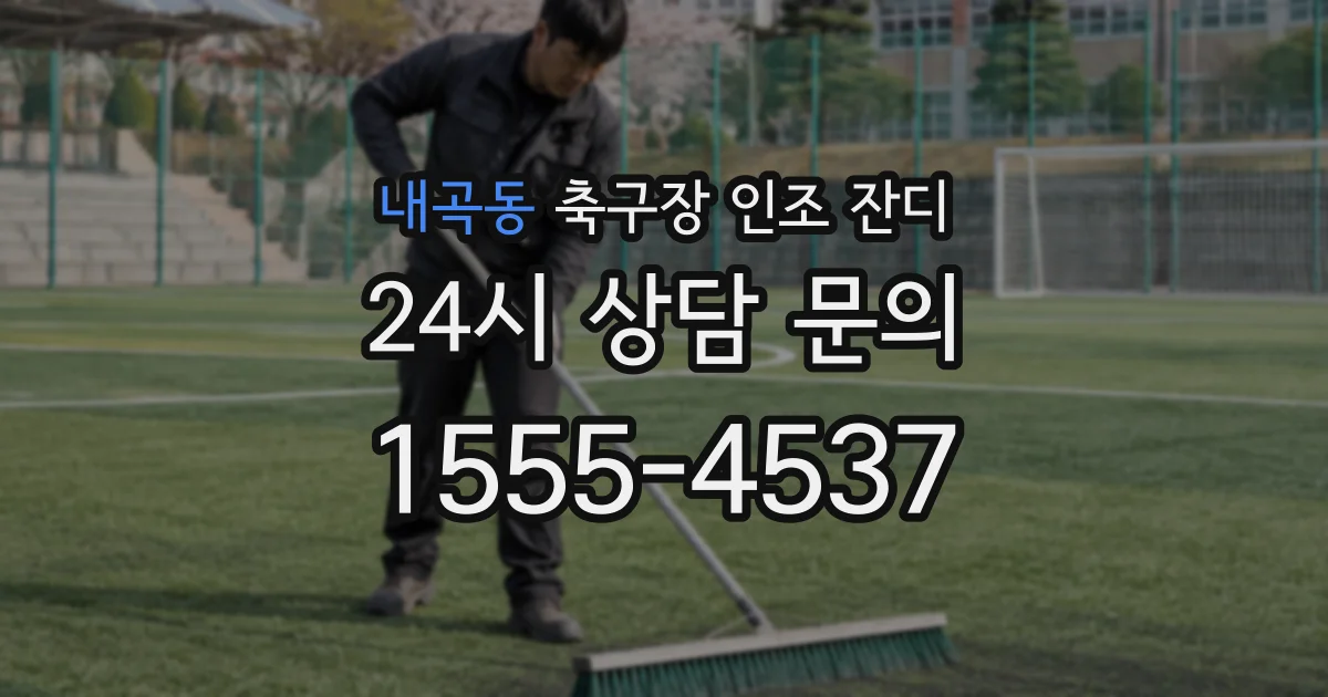내곡동 축구장 인조 잔디