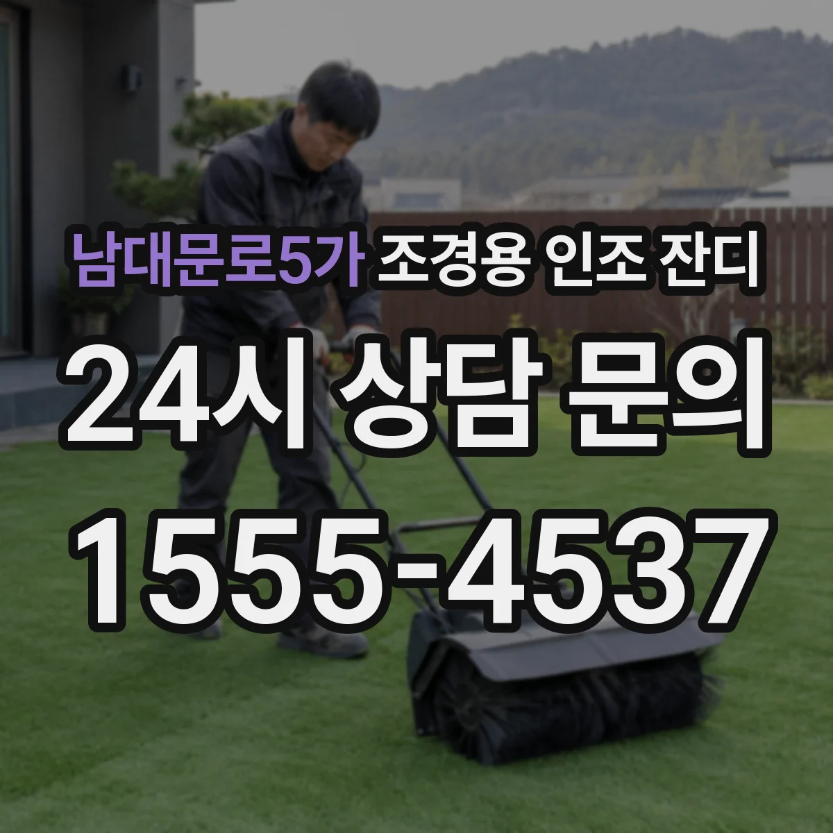 남대문로5가 조경용 인조 잔디