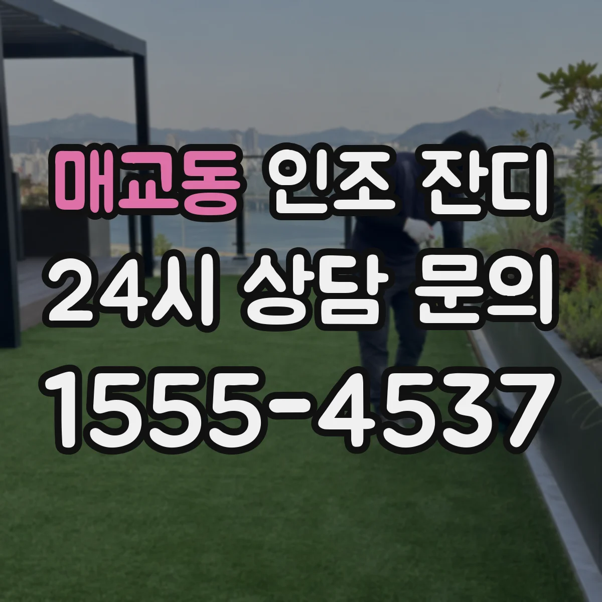 매교동 인조 잔디
