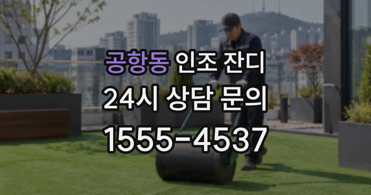 공항동 인조 잔디
