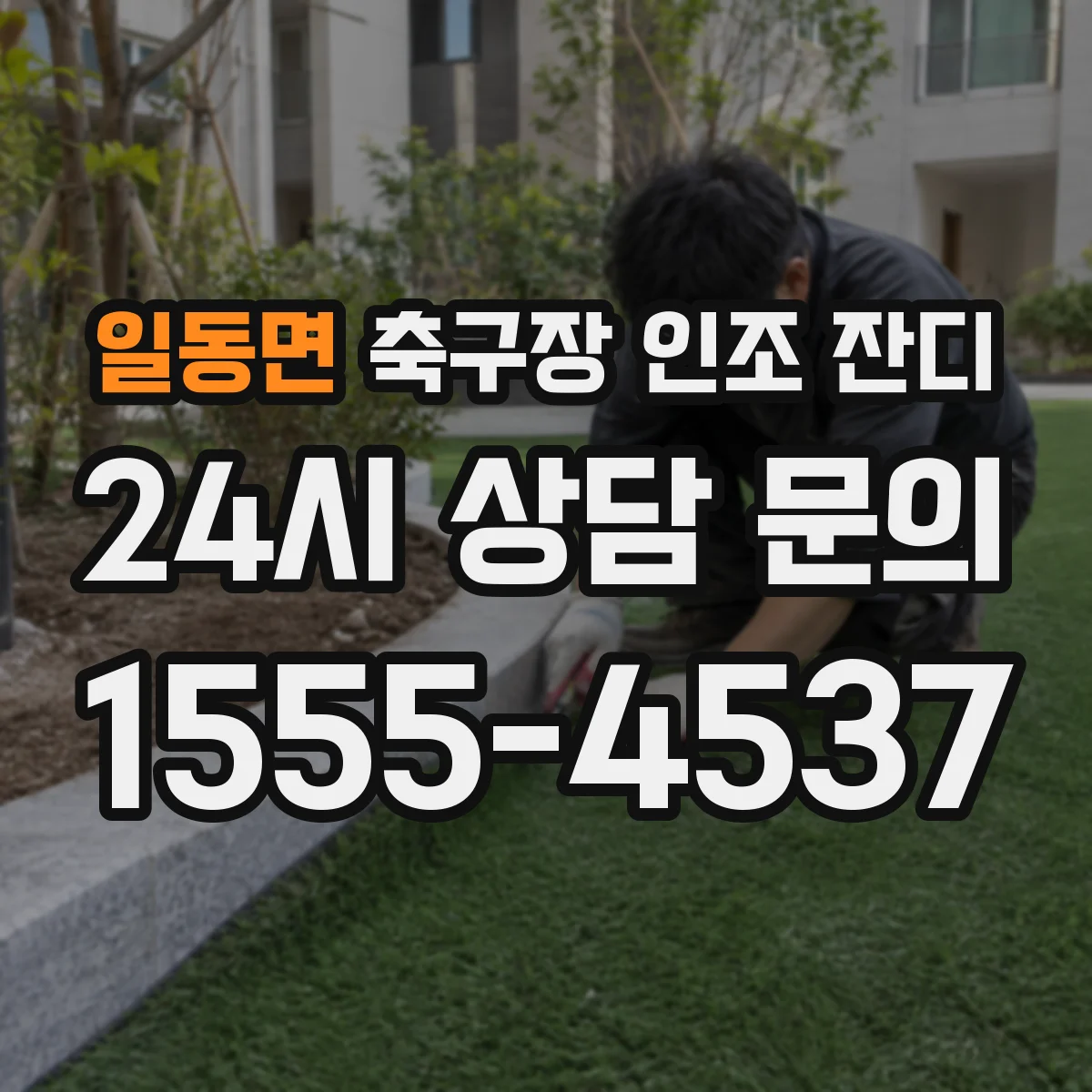 일동면 축구장 인조 잔디