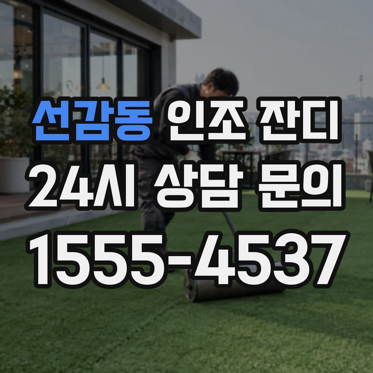 선감동 인조 잔디