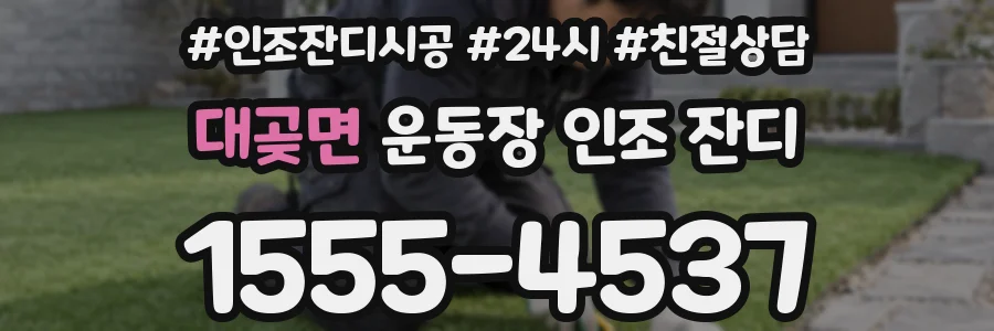 대곶면 운동장 인조 잔디
