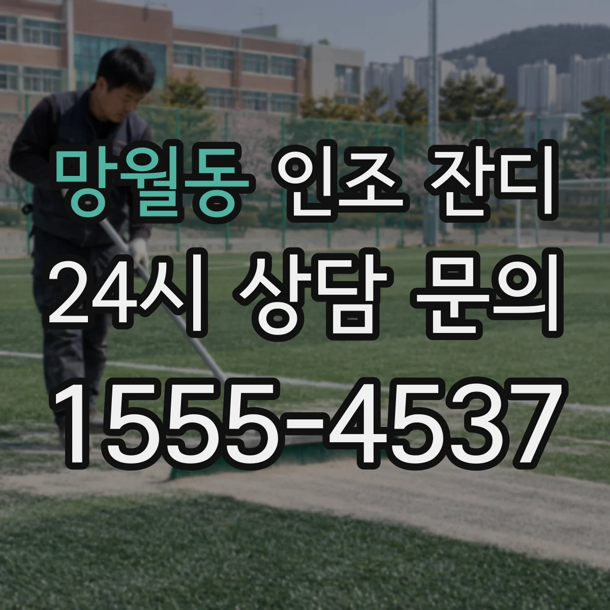 망월동 인조 잔디