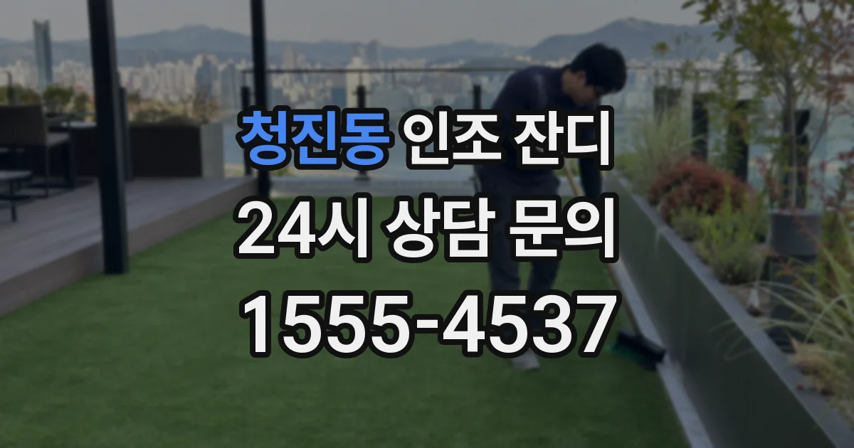 청진동 인조 잔디