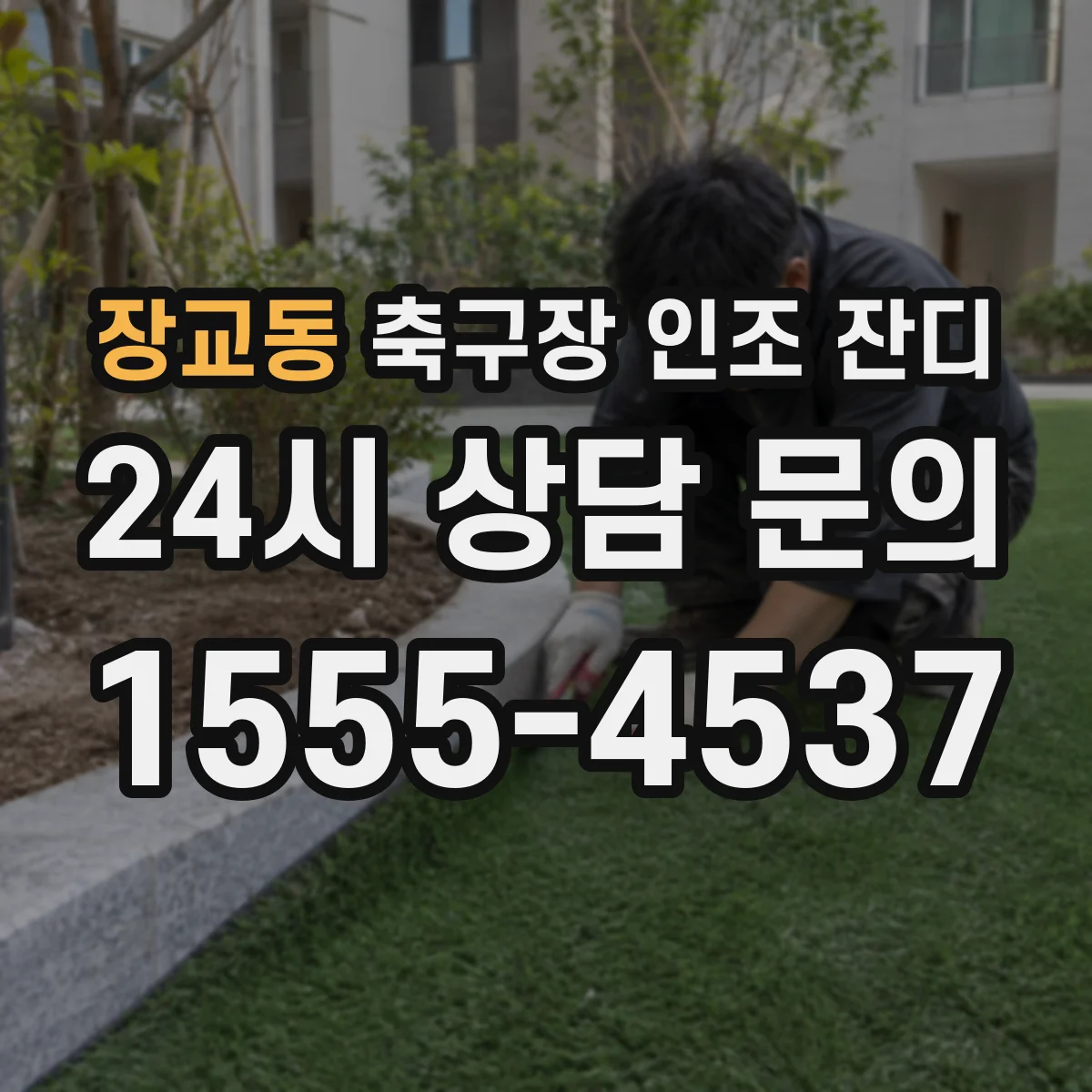 장교동 축구장 인조 잔디