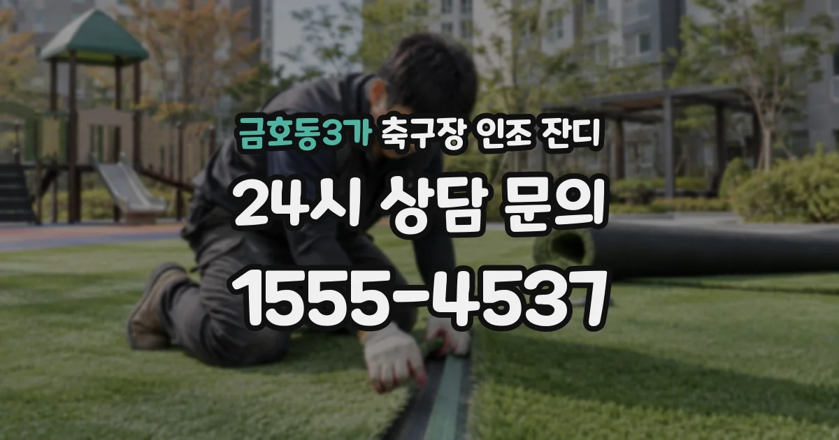 금호동3가 축구장 인조 잔디