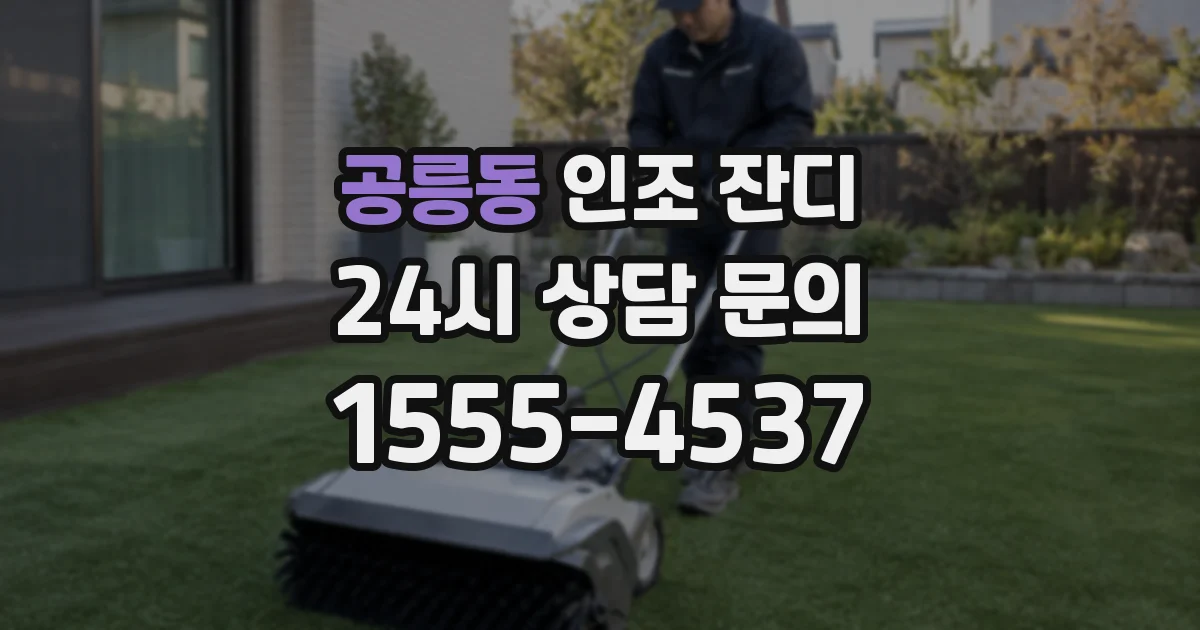 공릉동 인조 잔디