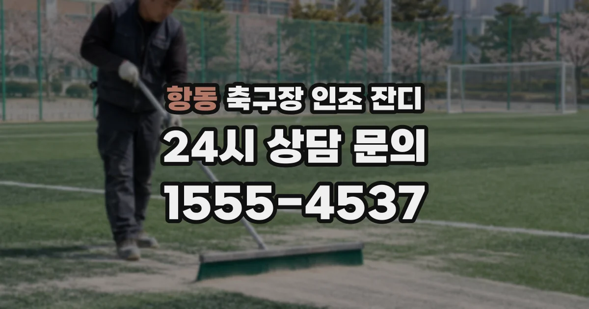 항동 축구장 인조 잔디