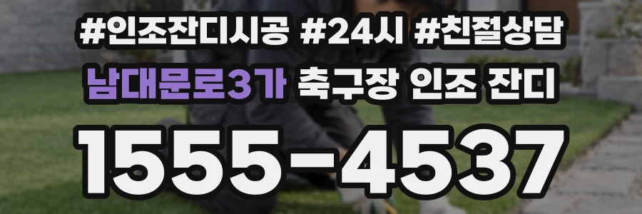 남대문로3가 축구장 인조 잔디