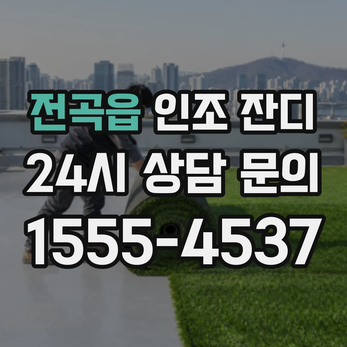 전곡읍 인조 잔디