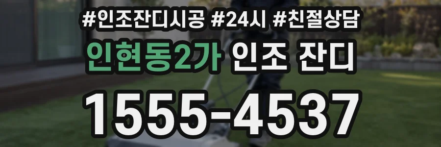 인현동2가 인조 잔디