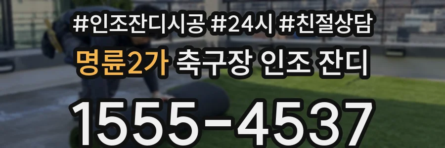 명륜2가 축구장 인조 잔디