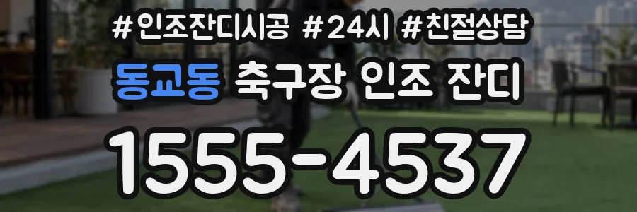 동교동 축구장 인조 잔디