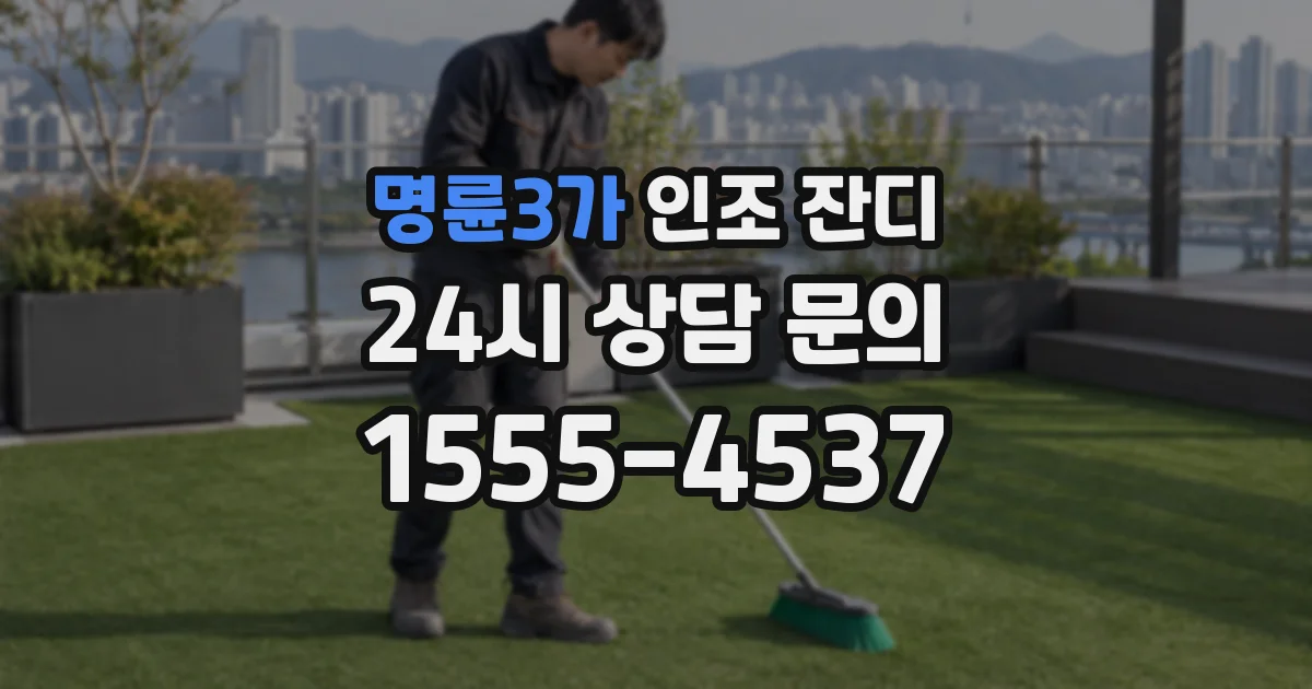 명륜3가 인조 잔디