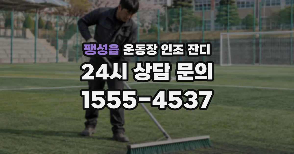 팽성읍 운동장 인조 잔디