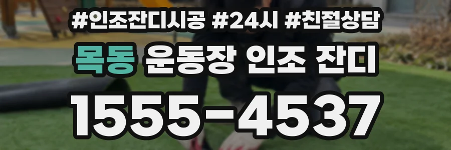 목동 운동장 인조 잔디