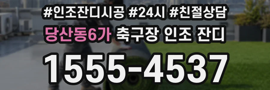 당산동6가 축구장 인조 잔디